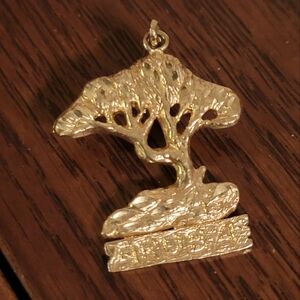 ARUBA Pendant 14kt Gold 3.96 Grams